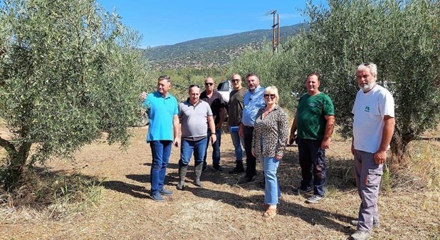 Τεράστια ζημιά από το χαλάζι σε καλλιέργειες του Δ.Κιλελέρ